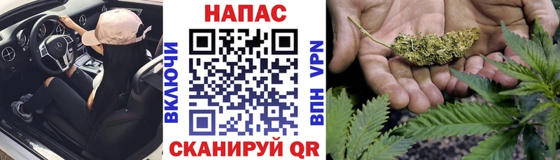 Купить наркотики сайты Судогда A PVP МАРИХУАНА Меф мяу мяу ГАШИШ