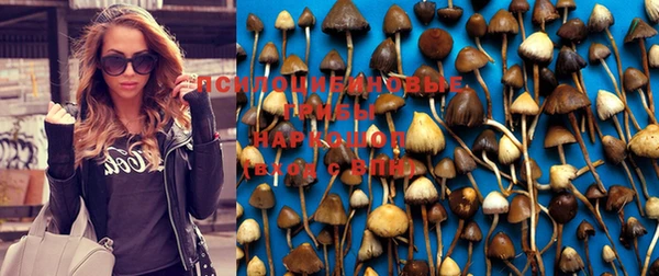 первитин Белокуриха