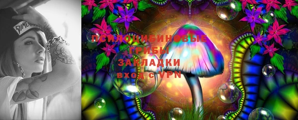 первитин Белокуриха