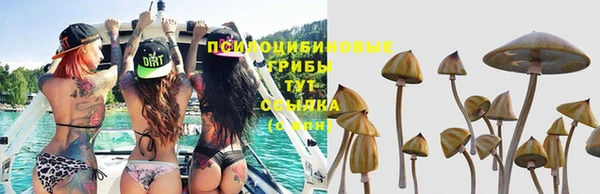 альфа пвп Беломорск