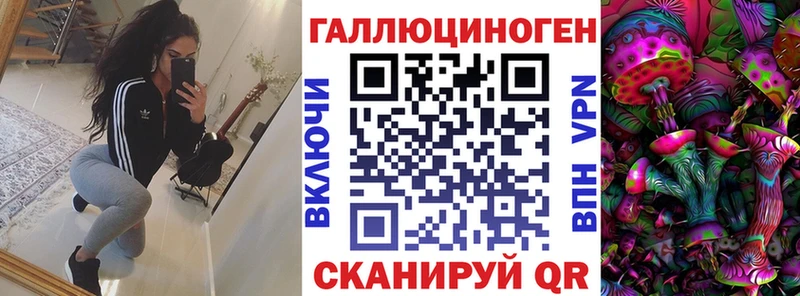 маркетплейс телеграм  Судогда  Галлюциногенные грибы мицелий 